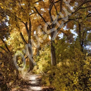 Bosque Trail 2