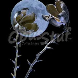 Moonglow