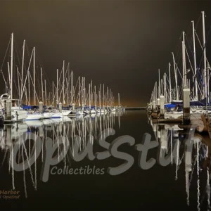 Safe Harbor