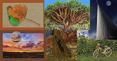 Seasonal & Effects shop page