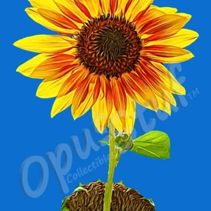 The happiest color in the world set against a clear blue New Mexico sky delivers an undeniable positive vibe.