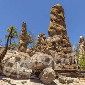 Goblin Colony 2 El Jefe is a wall art print of rock formations near Ponderosa, New Mexico. The shapes were created by erosion of volcanic tuff.