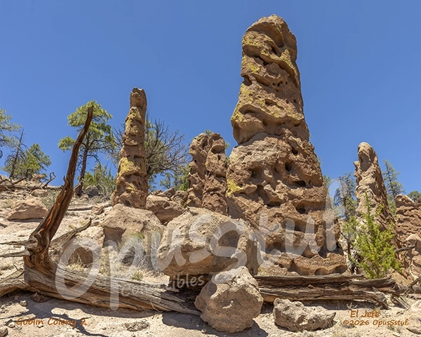 Goblin Colony 2 El Jefe is a wall art print of rock formations near Ponderosa, New Mexico. The shapes were created by erosion of volcanic tuff.