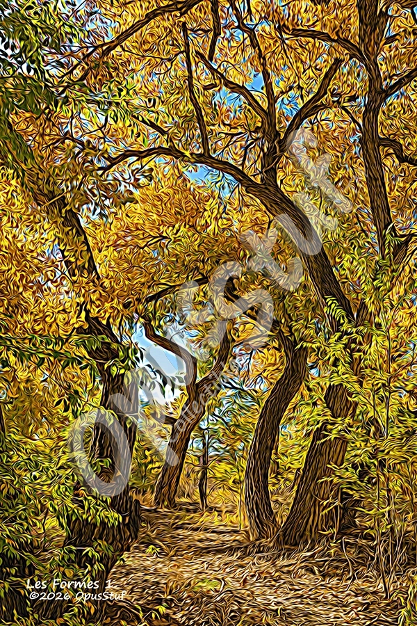 LesFormes-1 Wall Art Print