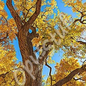 Les Formes-3 is a wall print by OpusStuf showing a stylized photograph of a cottonwood tree in the Albuquerque Open Space.