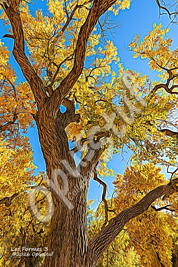 Les Formes-3 is a wall print by OpusStuf showing a stylized photograph of a cottonwood tree in the Albuquerque Open Space.