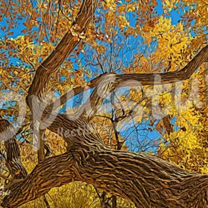 Les Formes-4 is a wall print by OpusStuf showing a stylized photograph of a cottonwood tree in the Albuquerque Open Space.