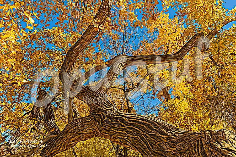 Les Formes-4 is a wall print by OpusStuf showing a stylized photograph of a cottonwood tree in the Albuquerque Open Space.