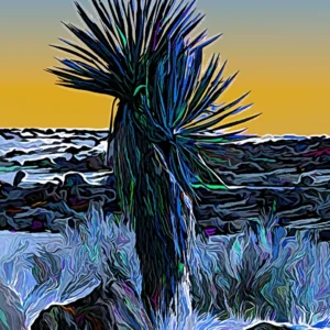 This image is a photograph Yucca plant in New Mexico with an illustrative effect. The effect adds saturated colors against a clear desert sky at dusk.