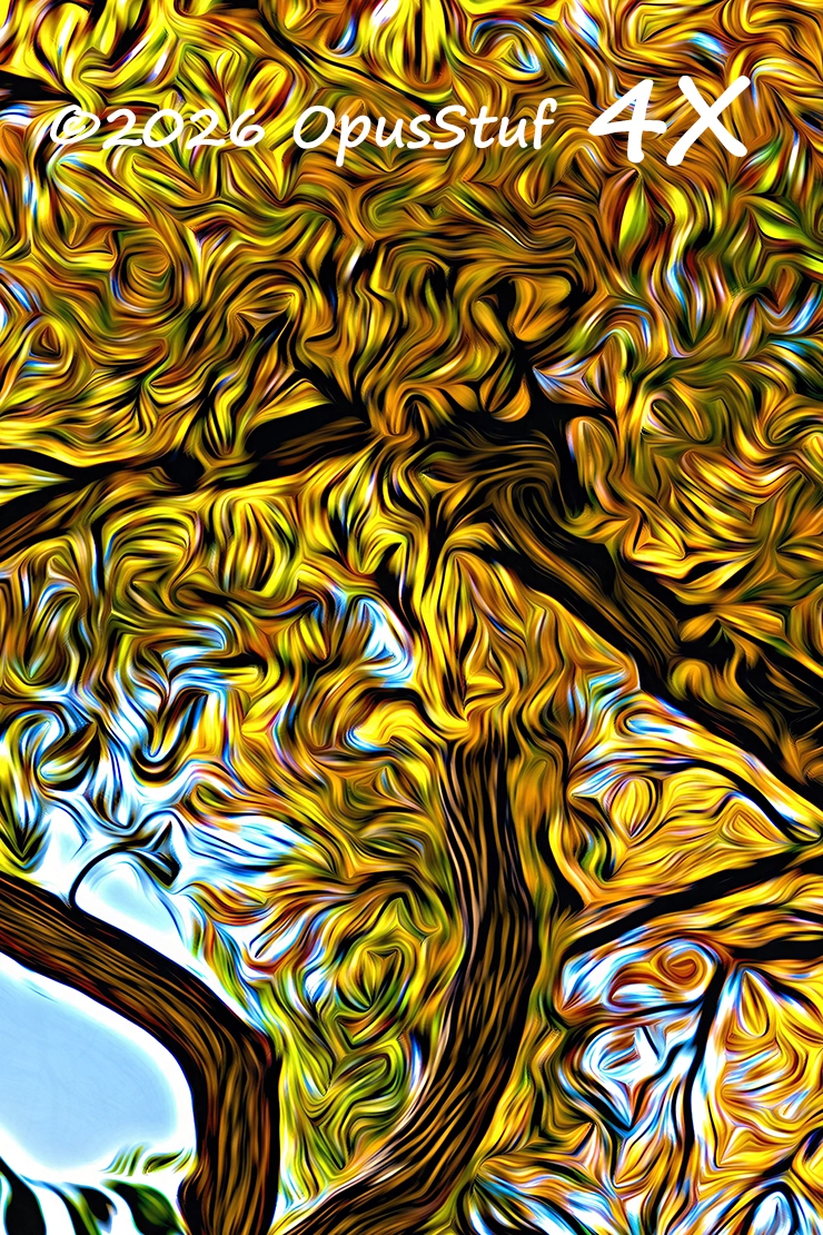 LesFormes-1 Wall Art Print - Image 2